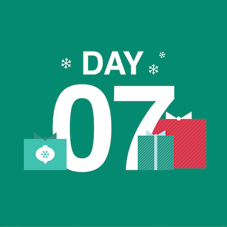 Day 7